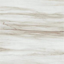 Gạch Trường Thịnh MARMI BJ88040